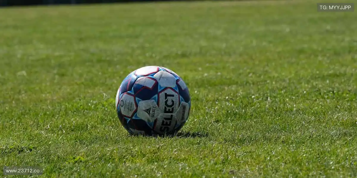 明星盛典,精彩纷呈!🌟🎬